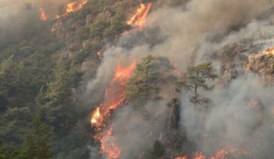 Bakan Pakdemirli : Bu sene 55 helikopterle yangın sezonuna giriyor olacağız