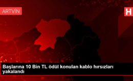 Başlarına 10 Bin TL ödül konulan kablo hırsızları yakalandı