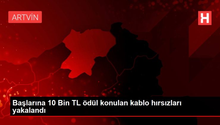 Başlarına 10 Bin TL ödül konulan kablo hırsızları yakalandı