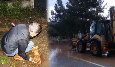 Bodrum’da sağanak yağış sele dönüştü! Sokak hayvanları boğuldu