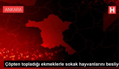 Çöpten topladığı ekmeklerle sokak hayvanlarını besliyor