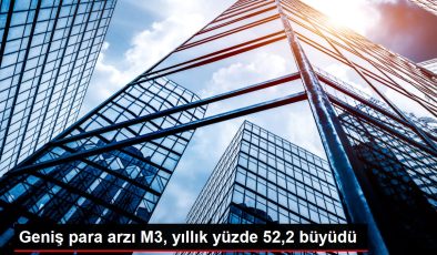 Geniş para arzı M3, yıllık yüzde 52,2 büyüdü