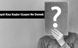 Hayat Kısa Kuşlar Uçuyor Ne Demek, Ne Anlatıyor? Hayat Kısa Kuşlar Uçuyor Kimin Sözü?