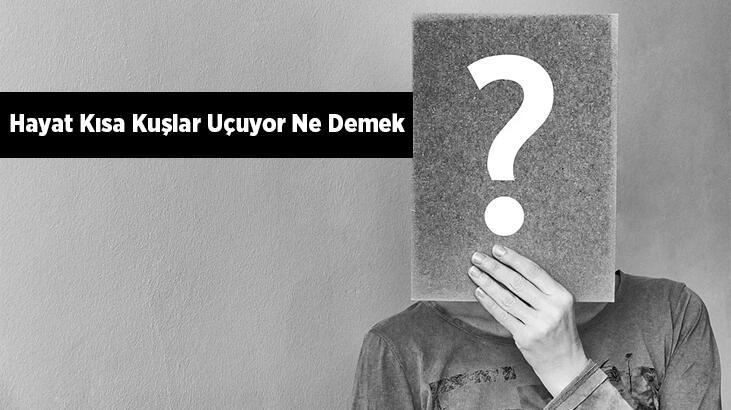 Hayat Kısa Kuşlar Uçuyor Ne Demek, Ne Anlatıyor? Hayat Kısa Kuşlar Uçuyor Kimin Sözü?