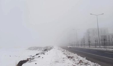 Kar yağışı sonrası sis Diyarbakır’ı esir aldı, uçak seferleri iptal oldu