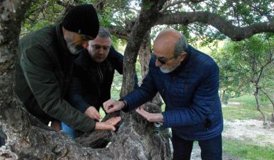 "Çeşme sakızı, ağızda sakız olmasın"