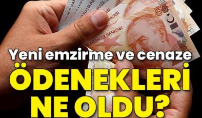 Yeni ödenekler belli oldu