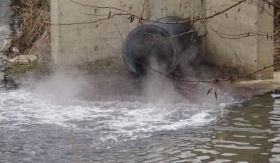 Dereler zehir akıyor, bu yıl da müsilaj tehdidi kapıda