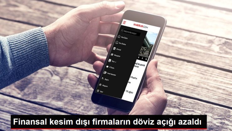 Finansal kesim dışı firmaların döviz açığı azaldı