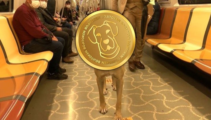 İstanbul'un Fenomen Köpeği BOJİ Adına Kripto Para Çıkarıldı